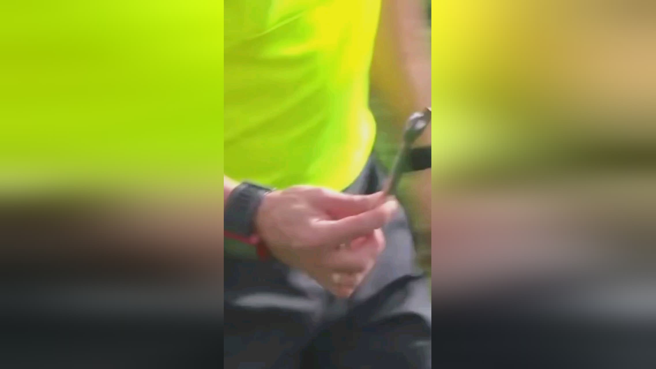 开始观众
