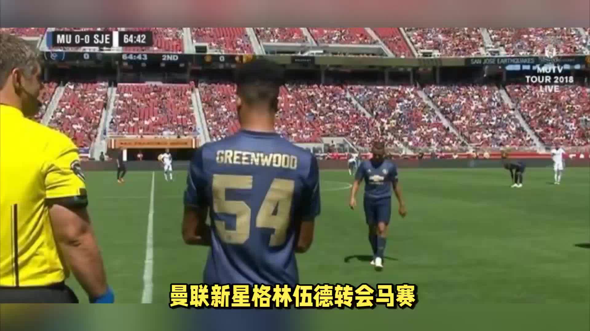 魅力和社交